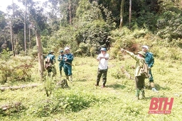 Phối hợp bảo vệ và phát triển rừng tại Ban Quản lý rừng phòng hộ Quan Sơn