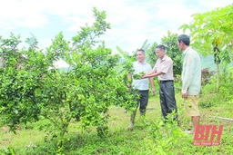 Hiệu quả phong trào thi đua “Dân vận khéo” ở huyện Bá Thước