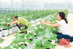 Nâng cao năng lực quản lý chất lượng an toàn thực phẩm tại các cơ sở sản xuất, kinh doanh nông, lâm, thủy sản