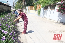 Sức sống mới vùng ven đô