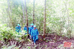Công bố diện tích rừng, chủ rừng được chi trả tiền dịch vụ môi trường rừng