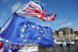 Vấn đề Brexit: Đàm phán giữa Anh và EU đạt một số tiến triển