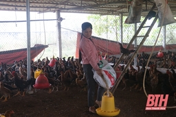 Đa dạng nguồn cung ứng thực phẩm dịp cuối năm