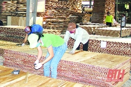 Huyện Thường Xuân: Giá trị sản xuất lâm nghiệp ước đạt trên 270 tỷ đồng