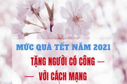 Tăng mức quà Tết năm 2021 tặng người có công với cách mạng