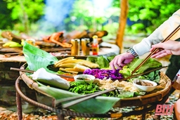 Xuân về trên Son Bá Mười