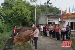 35 tập thể, cá nhân được khen thưởng trong hoạt động tín dụng chính sách