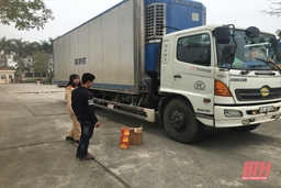 Sử dụng pháo hoa - Cảnh tỉnh người dùng (Bài 2): Xử lý nghiêm các hành vi vi phạm