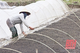 Bảo đảm kế hoạch, thời vụ sản xuất vụ đông xuân