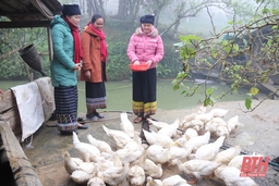 Khởi sắc vùng biên Bát Mọt