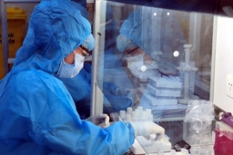 Phát hiện chủng virus biến thể mới SARS-CoV-2 ở Anh trên BN1660