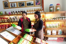 100% sản phẩm OCOP của Thanh Hóa được bán tại các cửa hàng trưng bày, giới thiệu, bán sản phẩm