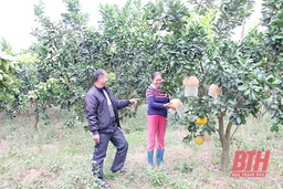 Tinh thần nêu gương trong cán bộ, đảng viên huyện Cẩm Thủy