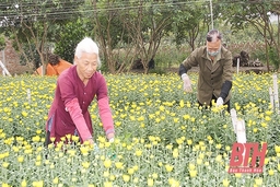 Nông nghiệp Thanh Hóa vượt khó đi lên