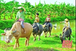 Con trâu  trong thơ ca Việt Nam