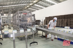 Lasuco phát triển mạng lưới tiêu thụ sản phẩm