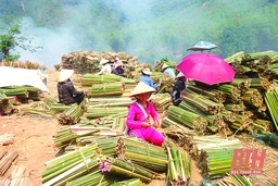 Những chiếc “cần câu” thay đổi cuộc sống người dân vùng khó