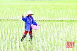 Để sử dụng phân bón, thuốc bảo vệ thực vật hiệu quả, an toàn