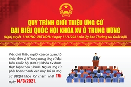 [Infographic] - Quy trình giới thiệu ứng cử đại biểu Quốc hội khóa XV ở Trung ương