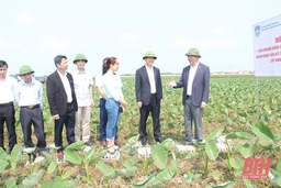 Phó Chủ tịch UBND tỉnh Lê Đức Giang làm việc với Viện Nông nghiệp Thanh Hóa