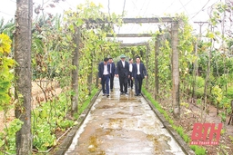 Phong trào xây dựng “vườn hộ” tại  các xã nông thôn mới nâng cao