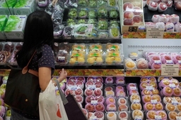 Nhật Bản mong muốn chấm dứt lệnh cấm nhập khẩu thực phẩm từ Fukushima