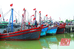 Cấp giấy phép khai thác hải sản cho 2.181 tàu cá