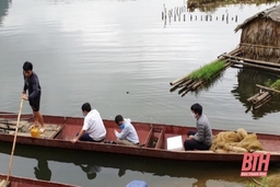 Khắc phục tình trạng cá chết trên sông Mã đoạn qua huyện Bá Thước