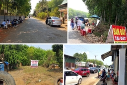 Bình tâm trước “cơn sốt”