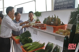 Thanh Hóa có 6 sản phẩm thuộc danh mục sản phẩm nông nghiệp chủ lực quốc gia