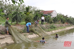 Xây dựng nông thôn mới nâng cao tại xã Định Long