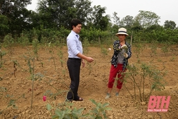 Huyện Vĩnh Lộc thực hiện tốt quy chế dân chủ ở cơ sở, tạo sự đồng thuận trong Nhân dân