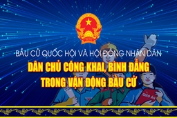 [Infographic] - Bầu cử Quốc hội và HĐND: Dân chủ, công khai, bình đẳng trong vận động bầu cử