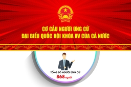 [Infographic] - Cơ cấu người ứng cử Đại biểu Quốc hội khóa XV của cả nước