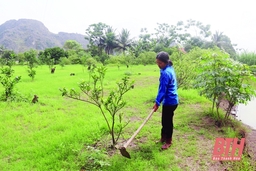 Xã Hà Tiến phát triển kinh tế trang trại