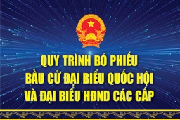 [Infographic] - Quy trình bỏ phiếu bầu cử đại biểu Quốc hội và đại biểu HĐND các cấp