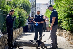 Phong trào Hamas sử dụng máy bay không người lái tấn công Israel