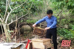 Xã Yên Nhân chú trọng khai thác lợi thế từ rừng