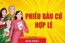 [Infographic] - Phiếu bầu cử như thế nào là hợp lệ?