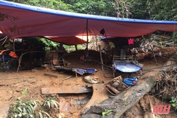 Huyện Bá Thước nỗ lực ngăn chặn khai thác vàng trái phép tại Khu Bảo tồn thiên nhiên Pù Luông