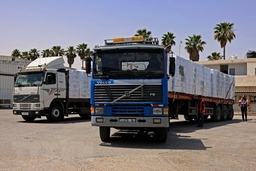 Xung đột Israel-Palestine: Ai Cập gửi 130 xe hàng cứu trợ tới Dải Gaza