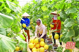 Dấu ấn từ những quyết sách