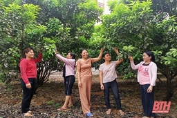 Điển hình trong phong trào học tập và làm theo Bác