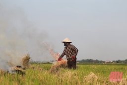 Đốt rơm rạ sau thu hoạch: Lợi bất cập hại