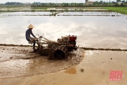 Điểm nhấn trong kế hoạch sản xuất vụ thu mùa