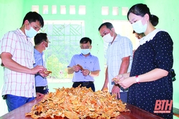 Xây dựng lâm sản măng khô xã Thanh Lâm thành sản phẩm OCOP
