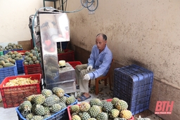 Nhân rộng các mô hình thanh niên làm kinh tế giỏi