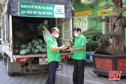 Tiến Nông hỗ trợ nông dân tỉnh Bắc Giang tiêu thụ sản phẩm