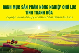 [Infographic] - Danh mục sản phẩm nông nghiệp chủ lực của Thanh Hóa
