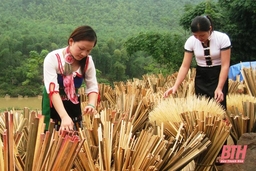 Cây xóa đói, giảm nghèo ở huyện biên giới Quan Sơn